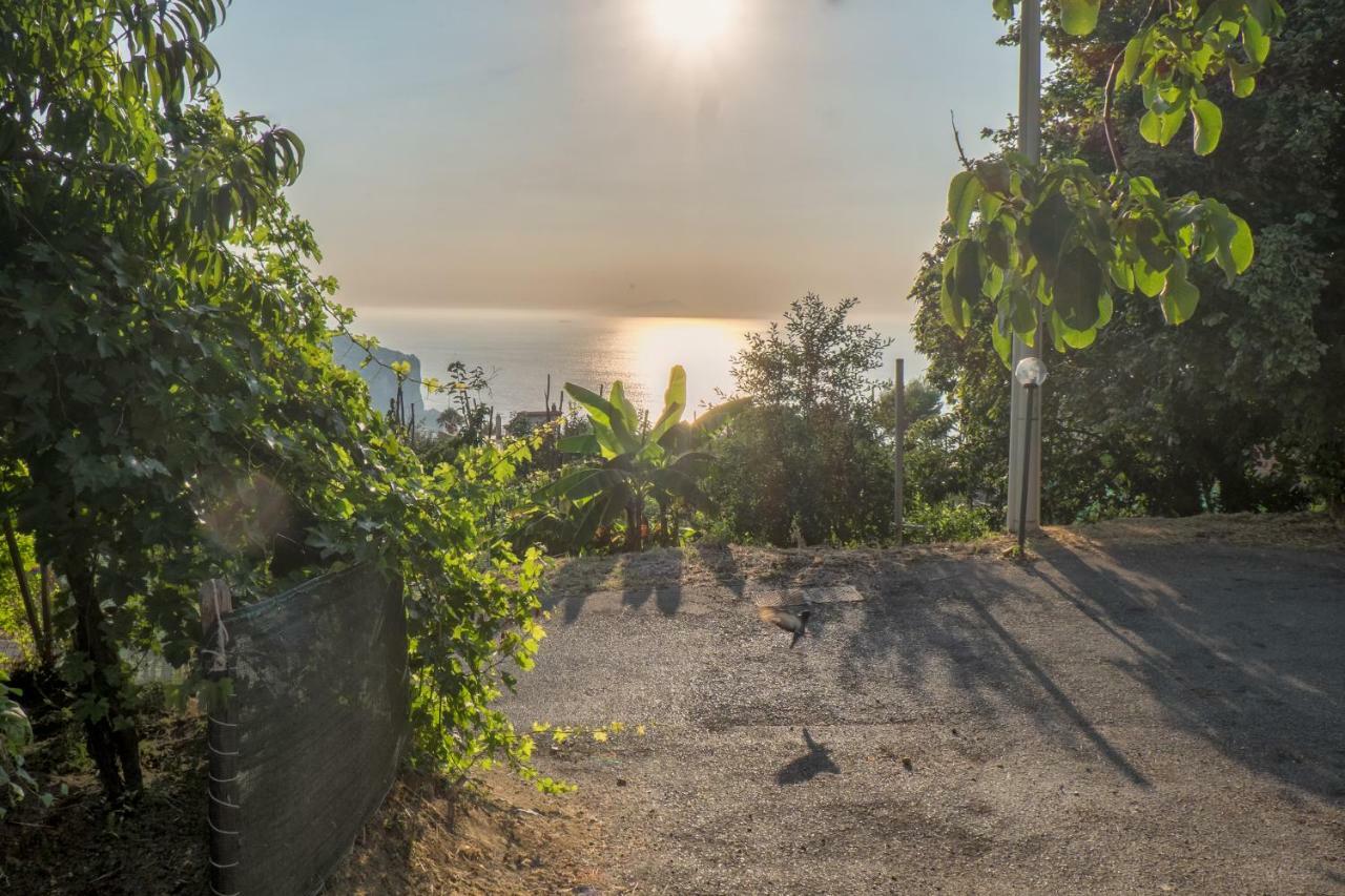 Casa Paola Villa Vico Equense Buitenkant foto